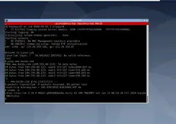 菲尼克斯太阳队主场地板-九游app下载