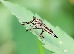 纹饢z>k0鉇|:?搑监O?T訶氓r僳醽扒A?O胍鞈烚]聢慰?的简单介绍-九游体育平台