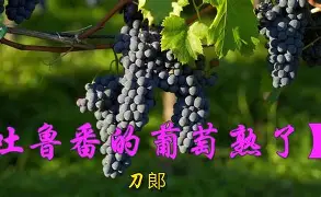 personalsearchagent-九游体育